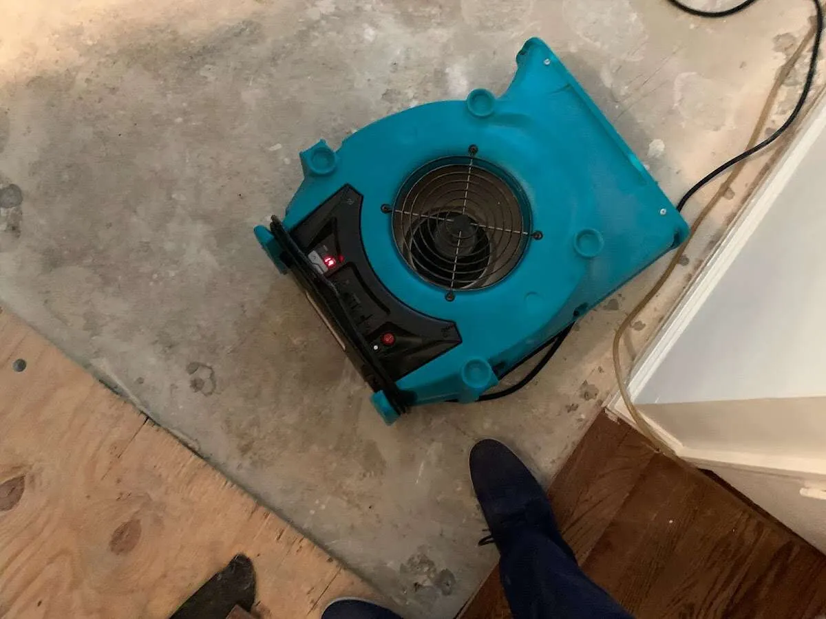 Air mover drying subfloor during Leak Detection & Repair in Westland